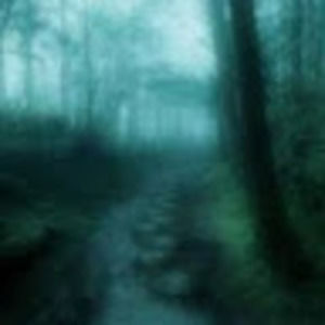 Meet your Posher, Zuri